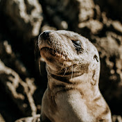 Profile Picture of James Tyler Huddleston (@jamestylerhuddleston7655) on Youtube