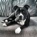 Profile Picture of Corinn Coetzee (@corinncoetzee) on Pinterest
