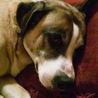 Profile Picture of Cathy Gates (@cathy-gates-4) on Quora