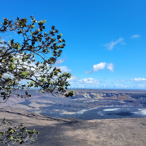 Profile Picture of James Ahn (@sojiu) on Poshmark