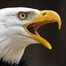 Profile Picture of Andreas Siegmeier (@andreas.siegmeier.75) on Facebook