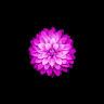 Profile Picture of David Lorenzon (@@davidlorenzon) on Tiktok
