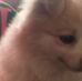 Profile Picture of Mike Loudermilk (@mike.loudermilk.50) on Facebook