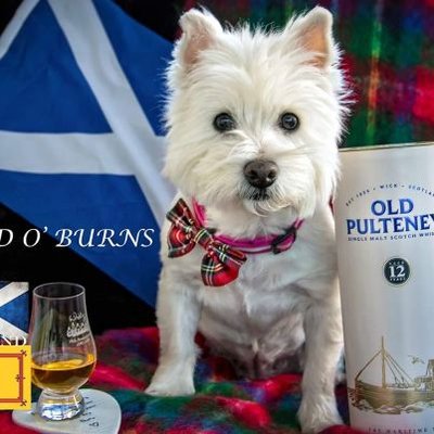 Profile Picture of Maureen Wilkinson (@Maureen66399571) on Twitter