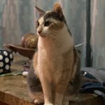 Profile Picture of Sydney Tessa Jimenez (@_queensydney) on Instagram