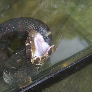 Profile Picture of jacob boatright (@boatright.jacob) on Instagram