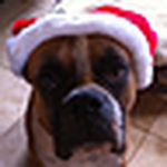 Profile Picture of Kai Eskildson (@makoa25) on Flickr