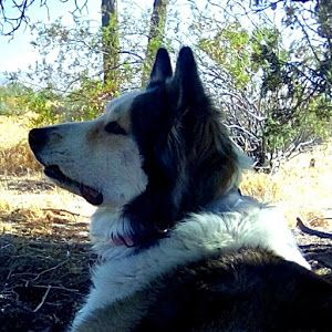 Profile Picture of HowRad (@howrad71) on Tiktok