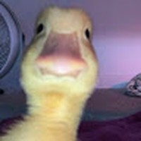 Profile Picture of Kevin Claine Conrad Moe (@kevin-claine-conrad-moe) on Quora