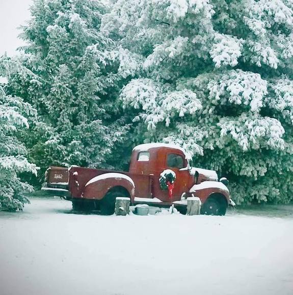 Profile Picture of Kiera Warzecha (@americanhuney82) on Poshmark