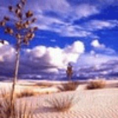 Profile Picture of Joshua Grissom (@joshuagrissom74) on Twitter