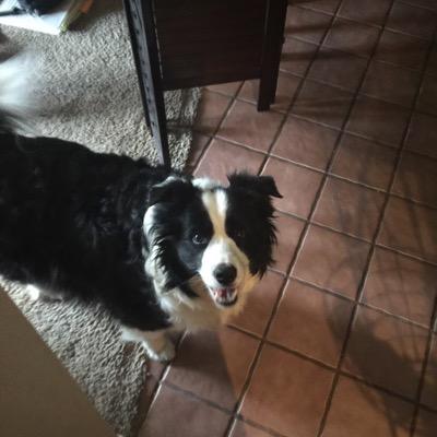 Profile Picture of Philip Shupe (@phiip1219) on Twitter