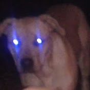 Profile Picture of Jerome Mushatt (@MrMushatt13) on Youtube