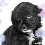 Profile Picture of Maisie Rose Cotter (@unicorn_and_glitter1234) on Instagram
