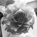 Profile Picture of 🌴🌟Alexandra•17•Alatorre🌟🌴 (@105skyhawk105) on Instagram