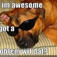 Profile Picture of Alex Linke (@alex-linke-1) on Quora