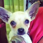 Paul Lacourse - Instagram Profile Picture of Paul Lacourse (@foamstar) on Instagram