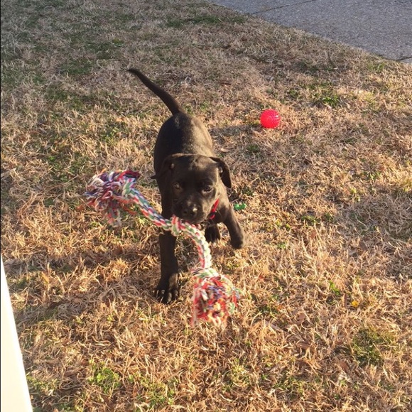 Profile Picture of J Wren (@j_wren) on Poshmark