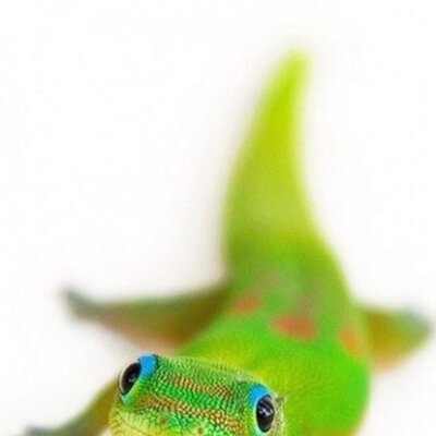 Profile Picture of Johan J (@johanjaspers) on Twitter