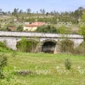 Profile Picture of Luis Bento (@luisbento9553) on Youtube