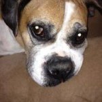 Profile Picture of Kimberly Ramey (@kramey74) on Instagram