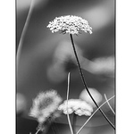 Profile Picture of Jose Isidro Hernandez (@donosti click-on) on Flickr