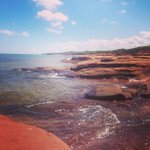 Profile Picture of Paul Stlouis (@bencharthro) on Instagram