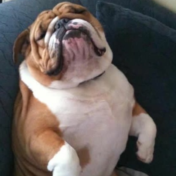 Profile Picture of Robert Marrone (@rdmx10) on Poshmark