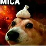 Profile Picture of ✟☥꧁༺Sђคร๏ฬ tєгς๏༻꧂☥✟ (@justinmachuca7) on Instagram