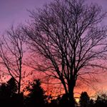 Profile Picture of Melissa Sokolowski Hackenberg (@melissa.sokolowskihackenberg) on Instagram