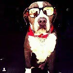 Profile Picture of kennethquintero (@kennethquintero) on Instagram