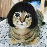 Profile Picture of brandy tharp (@bntstrive) on Instagram