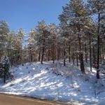 Profile Picture of Steve Cressfield (@cressfield) on Pinterest