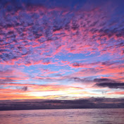 Profile Picture of Harmony Perry (@harmonyperry6845) on Youtube