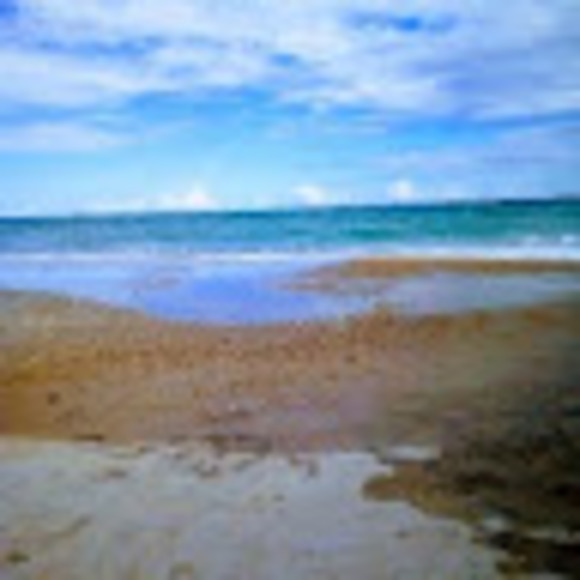 Profile Picture of Daryl Resor (@deresor6782) on Poshmark