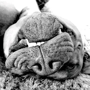 Profile Picture of Claire Bellagamba (@clairebellagamba) on Tiktok