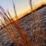 Profile Picture of Josephnorth (@joseph_north123) on Instagram