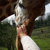 Profile Picture of Lucy Shaw (@lucyshaw8756) on Youtube