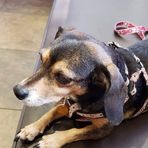 Profile Picture of Robert Vitzthum (@robert.vitzthum.56) on Facebook