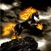 Profile Picture of Joseph Bauman (@bauman3123) on Pinterest