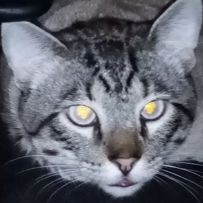 Profile Picture of Katerine Ester Gómez Carranza (@KaterineEsterG1) on Twitter