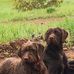 Profile Picture of Randy Scroggins (@randy.scroggins.370) on Facebook