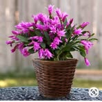 Profile Picture of Stela Solovei (@stela.solovei.7) on Facebook