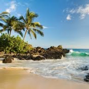 CALEB DUBOIS - Youtube Profile Picture of CALEB DUBOIS (@calebdubois3451) on Youtube