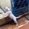 Profile Picture of braddock__ (@braddock__00) on Tiktok