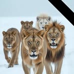 Profile Picture of Coral Jimenez (@coral.jimenez.180644) on Facebook