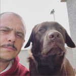 Profile Picture of Daniele Martorano (@danielemartorano) on Instagram