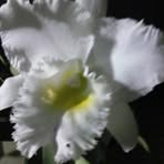 Profile Picture of Hilda Pazinato (@hilda.pazinato.7) on Facebook