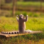 Profile Picture of Harrison Meyer (@harrismey) on Instagram