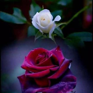 Profile Picture of Judhajit Chatterjee (@judhajit.chatterjee) on Facebook